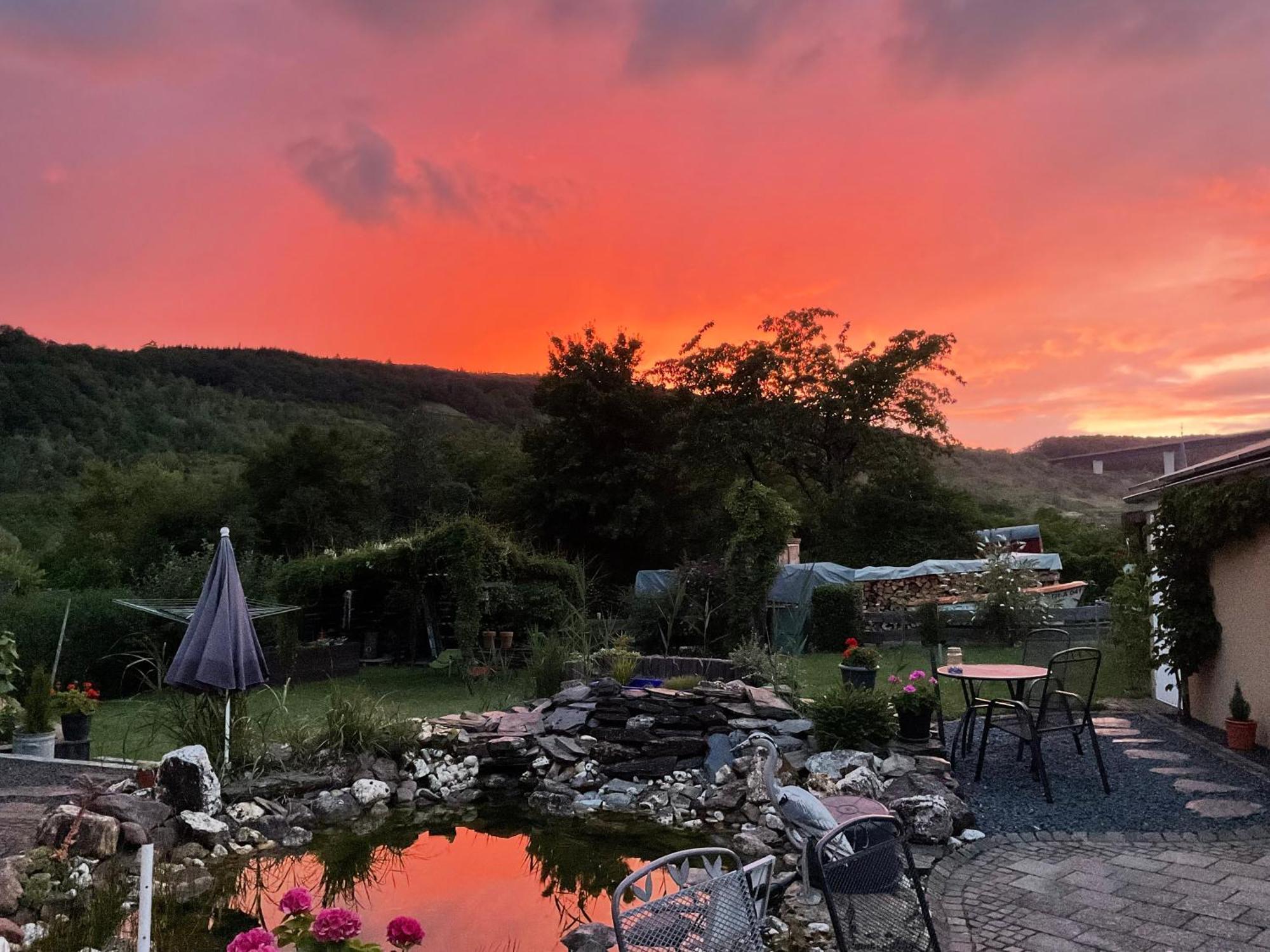Ferienwohnungen Forneck Zeltingen-Rachtig Exterior foto